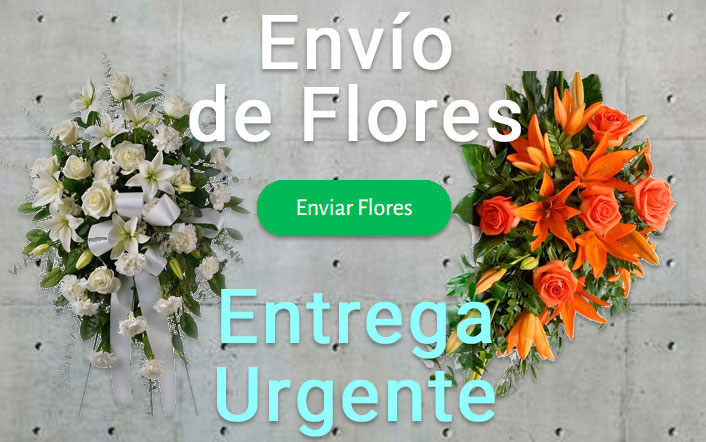 Envio flores difunto urgente a Tanatorio Getafe